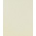 Nail Polish No. 12